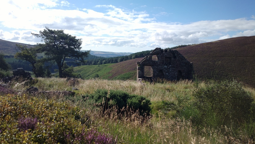 Ruine unterhalb des Cairn o` Mount.